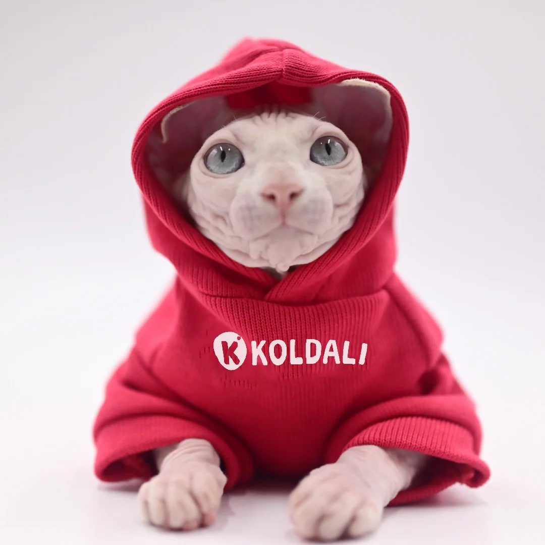 Hooded Red Sweatshirt with Letters for Sphynx Cat Winter Soft Fashion Coat for Kittens Warm Loungewear for Devon Rex in Autumn