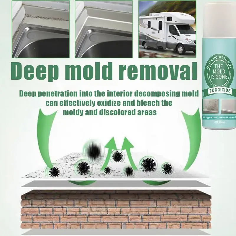 Multipurpose Automotive Mold Solution 100ML Mold Remover Spray Mold Inhibitor Bathroom Shower  Cleaner Spray For All Cars Home