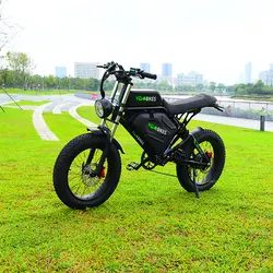 Super Cool 2000W35Ah Dual Motor 20*4.0 Fat Electric Bicycle ebike 60km/h Dual Drive Hydraulic brake Electric Motorcycles Bike