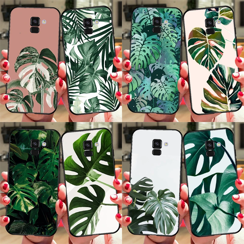 Leaves Monstera Gre…