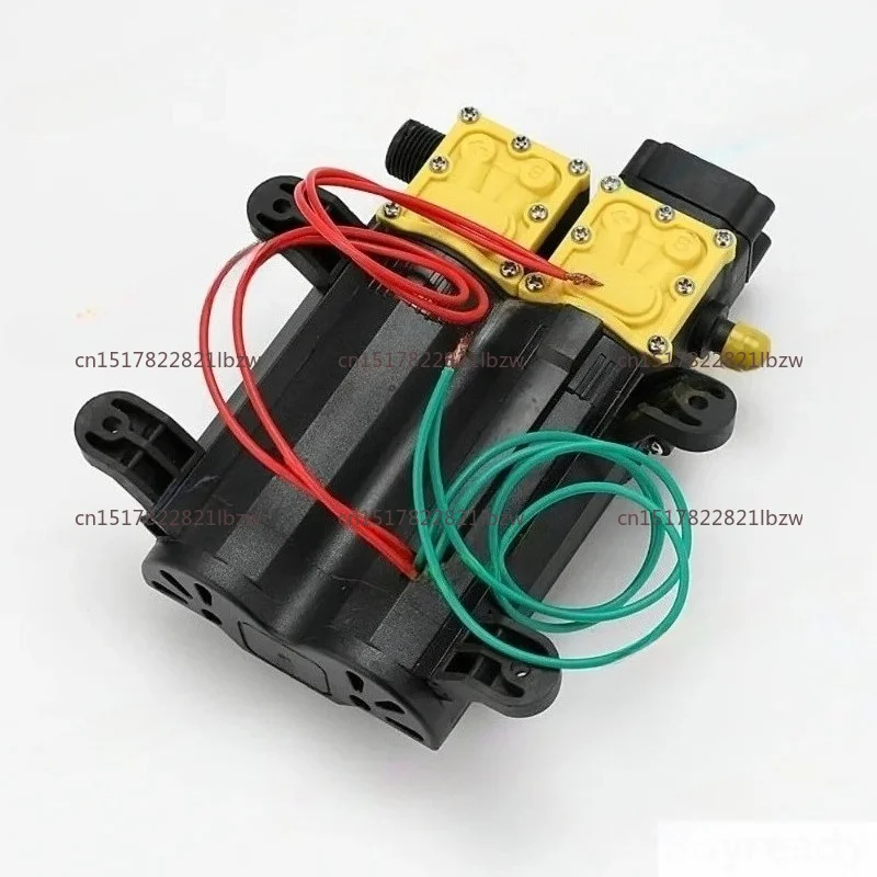 12V 220V Agricultural Water Pump High Pressure 7A 10L/min Auto Return DC AC Farm Irrigation Pump