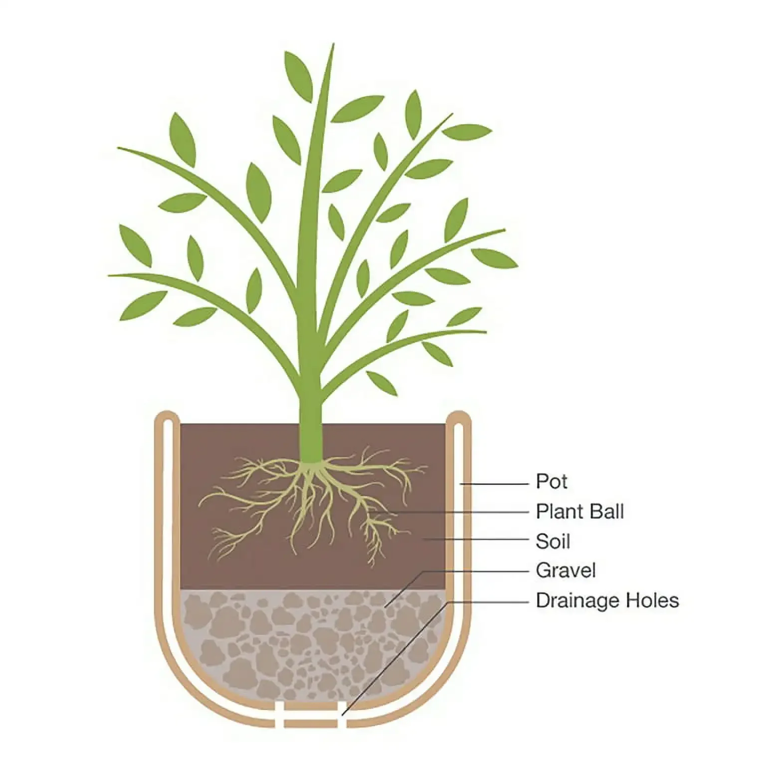 再生樹脂製植木鉢 クリーム色 アマポラ付き、12インチ x 12インチ x 9.4インチ