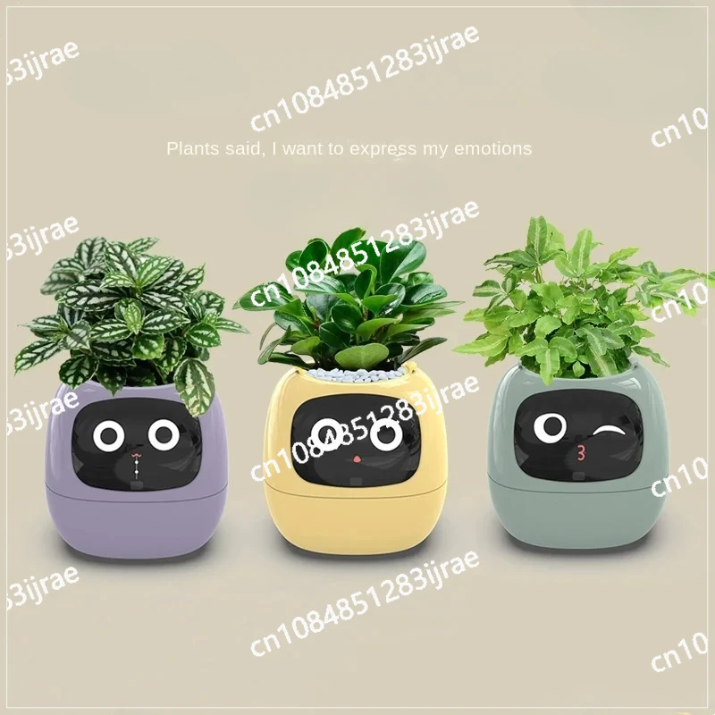 New Smart and Cute Pet Pet Pot Ivy Table Top Green Plants Let Your Plants Express Emotions