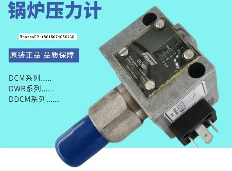 Germany Fema Feima …