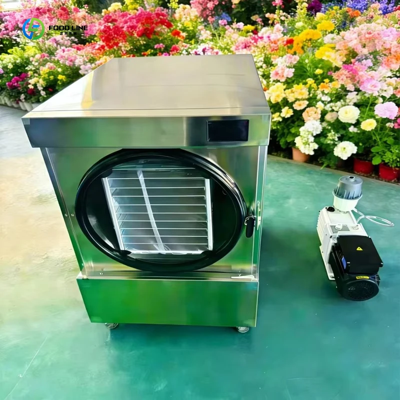 Home Small Freeze Dryer Household Vacuum Freeze Drying Machine For Food Fruit Meat Candy FL Customized