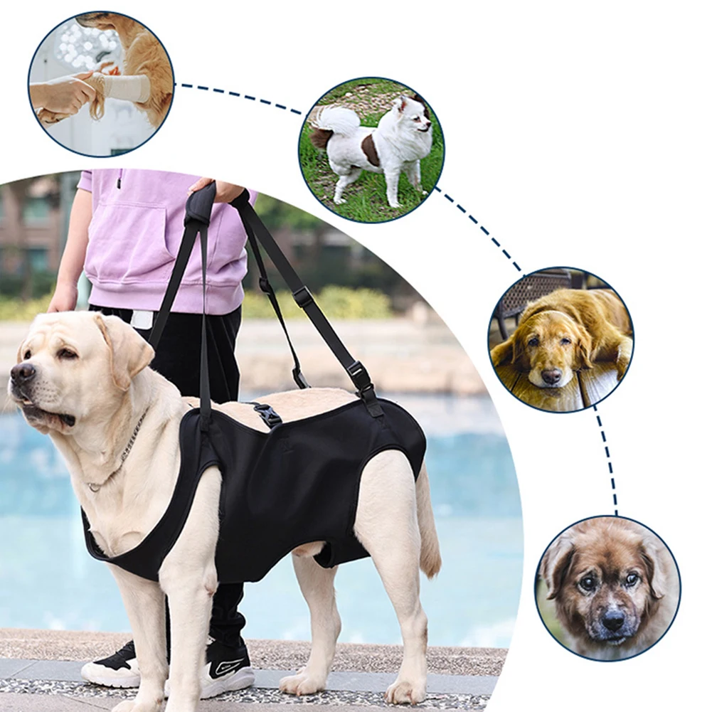 Dog Carry Sling Dog Lift Harness Breathable Mesh Pet Legs Support & Rehabilitation Lift Harness For Disabled Joint Injuries Dog