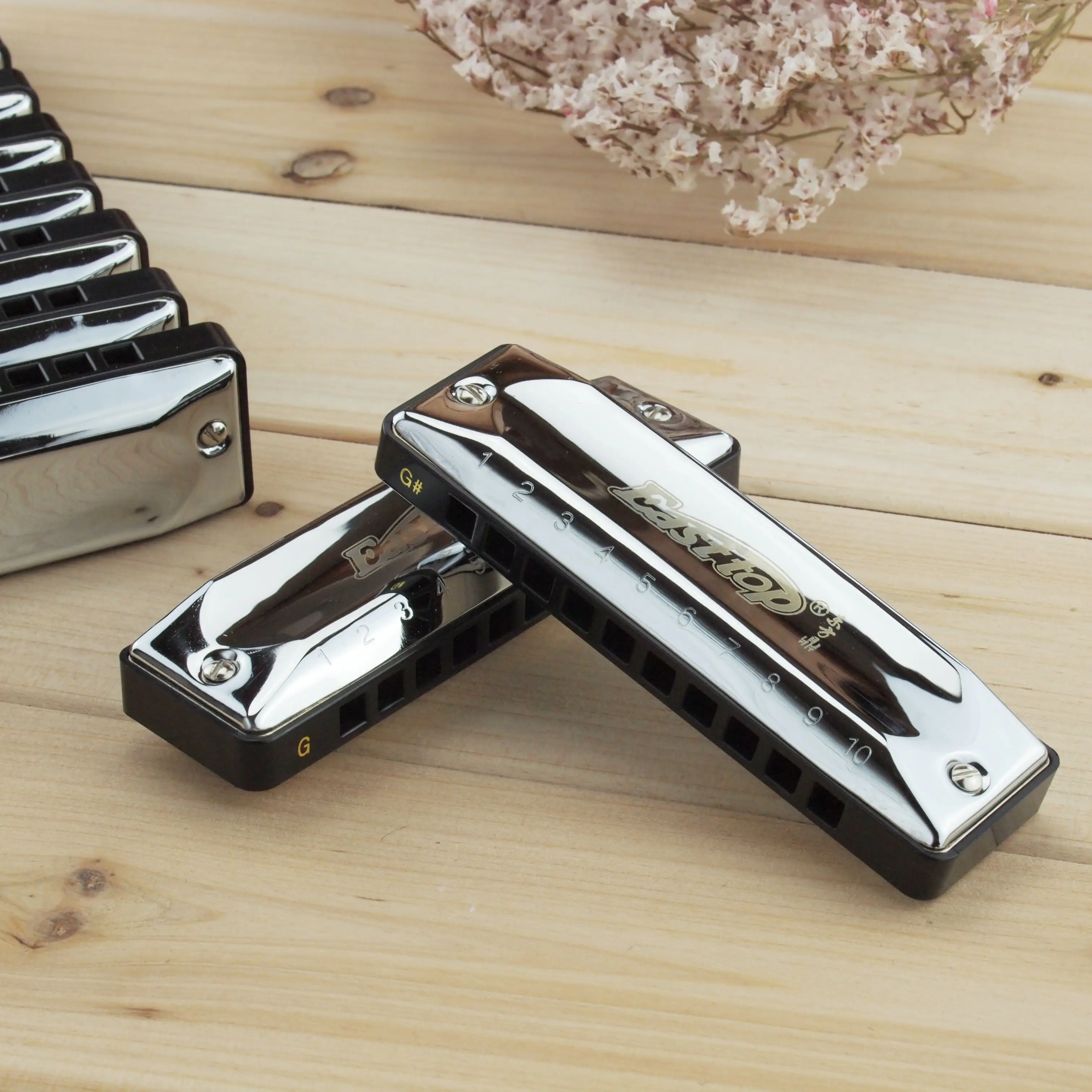 Ensemble d\'harmonica professionnel à 10 trous, avec 12 touches, pour joueur et débutant, harpe de blues