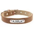 Collar-Brown