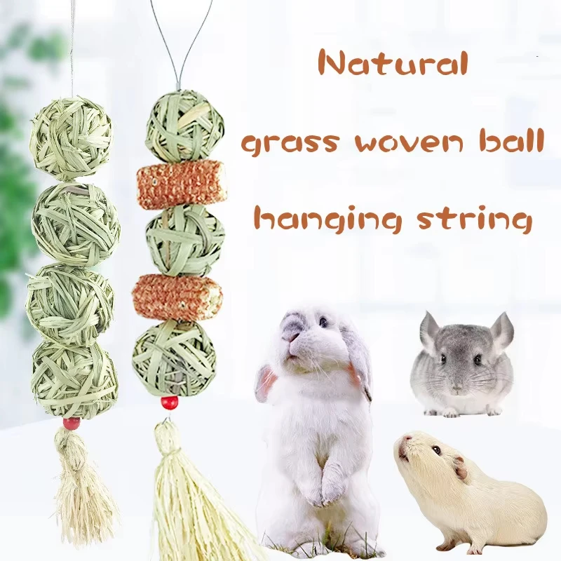 Small Animals Chew …