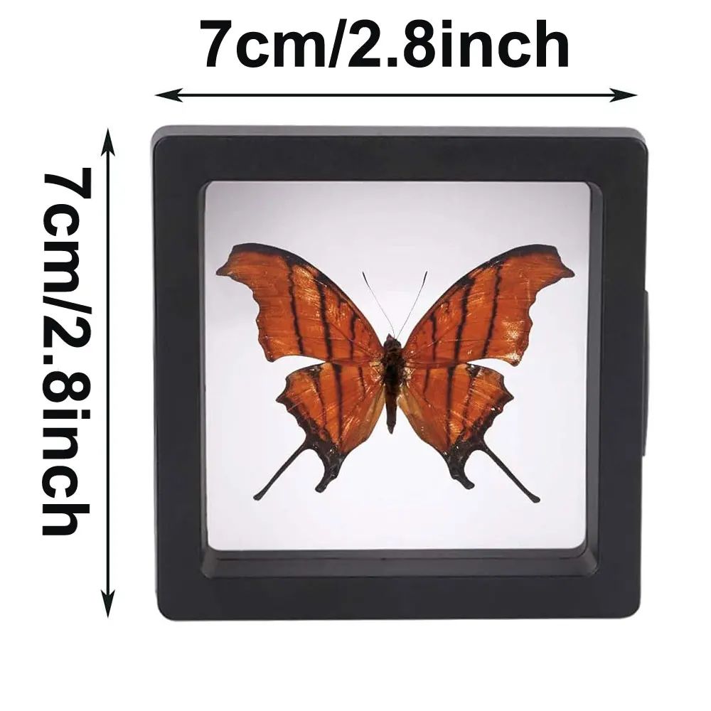 Transparent Floating Display Box for Jewelry Packaging