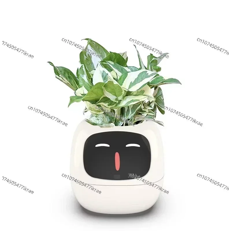 

New Smart And Cute Pet Pet Pot Ivy Table Top Green Plants Let Your Plants Express Emotions