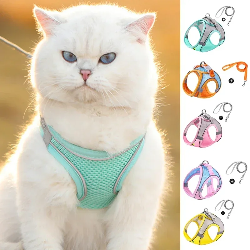 

Summer Pet Dog Cat Breathable Mesh Belt Vest Anti-Break Printed Chest Strap Adjustable Multi-Direction High Quality Pet Leash