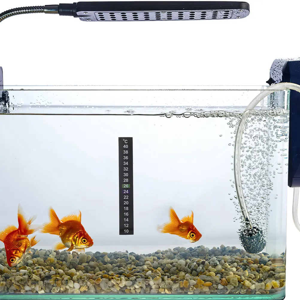 

5 pcs Temperature Sticker for Fish Tank Aquarium 10℃ 40℃ Thermometer Adhesive Strip Safe Material Digital Display