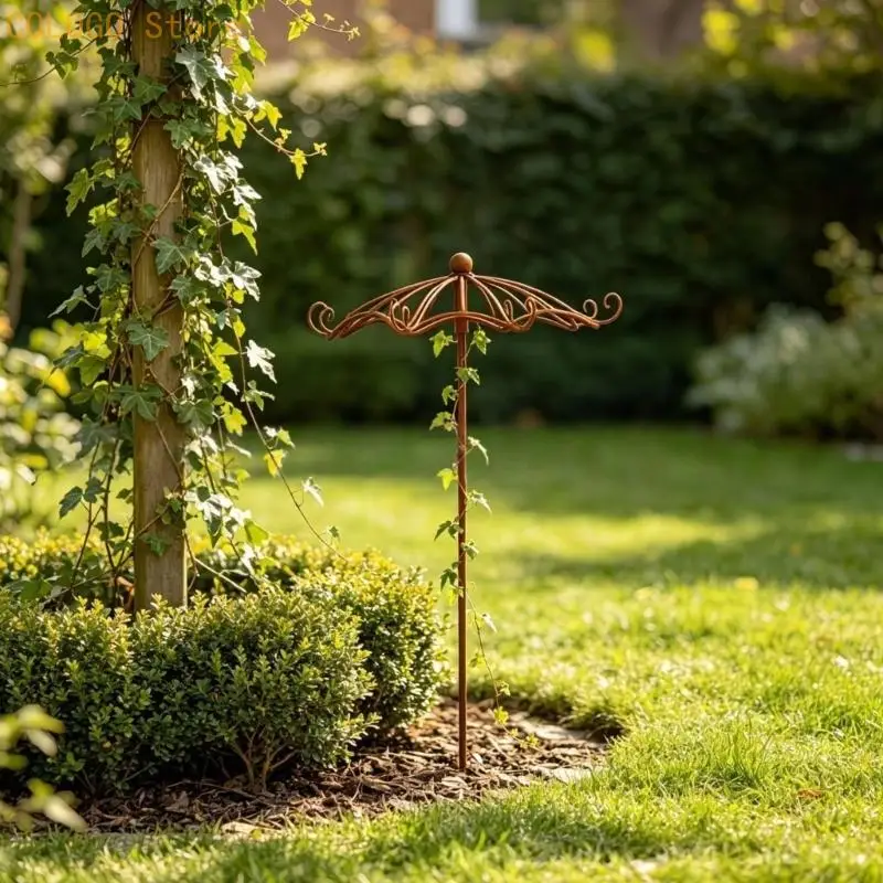 Garden Support Trellis with Metal Umbrella Top Growth Guide for Light Flower Coverage in Balcony and Entry Landscape Use for