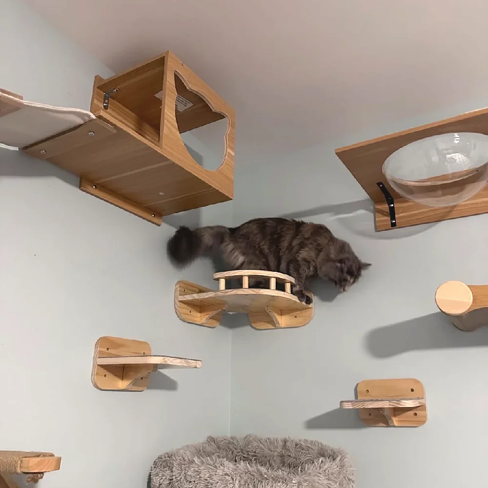 الحائط القط جدار تسلق الرفوف مجموعة خشبية أشجار القط برج هرش منصة القفز داخلي القطط ملحقات صالات الألعاب الرياضية لعبة
