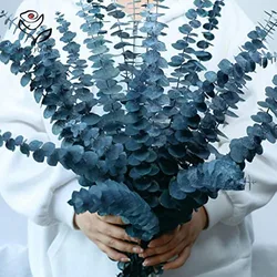 Preserved Green Plants Eternal Eucalyptus Leaves Living Room Home Decor Items Natural Dried Grass Wedding Christmas Decoration