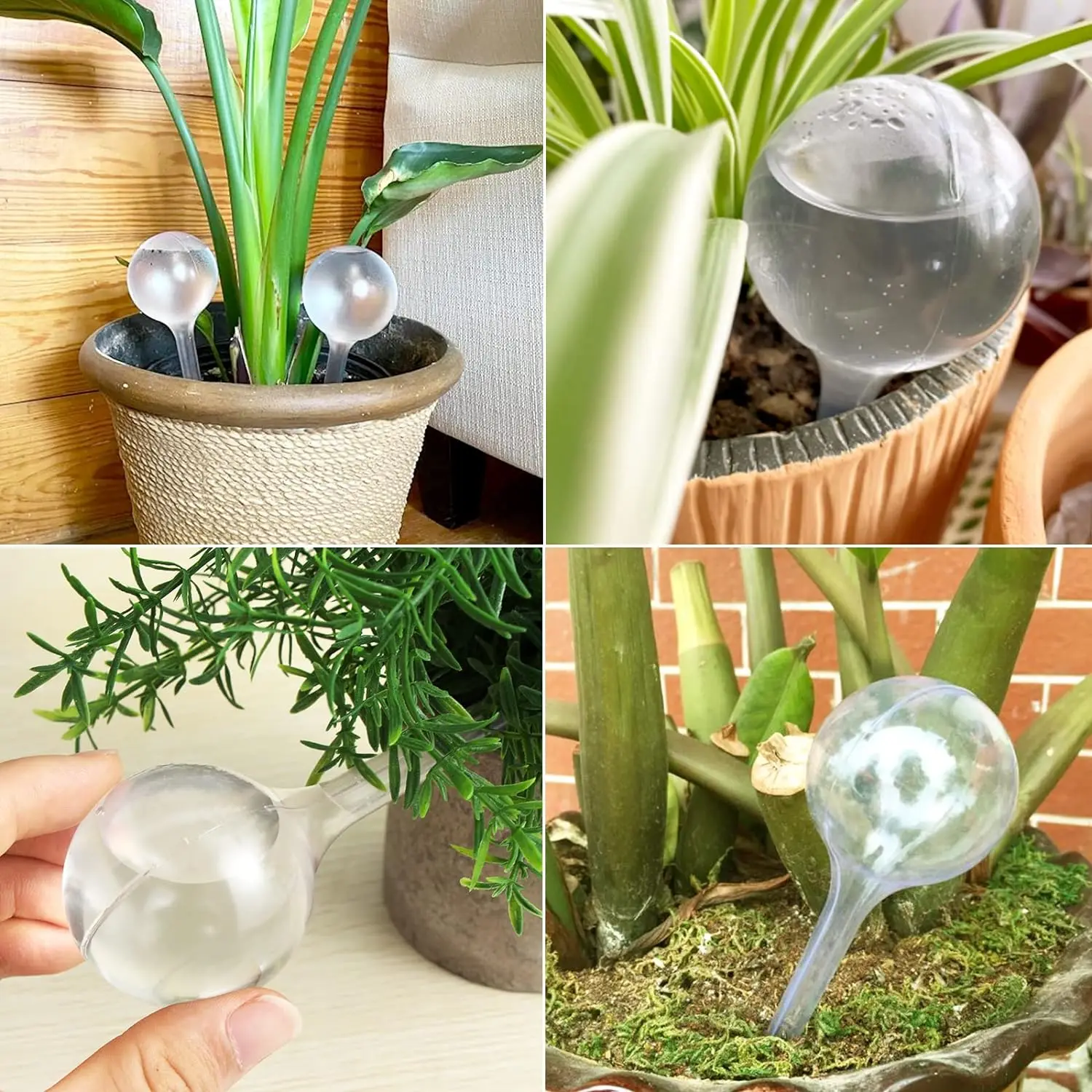 5/10PCS Automatic Plant Watering Bulbs Self Watering Flower Plant Water Dripper Houseplant Device Drip Irrigation System