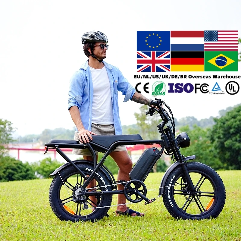 V8 1000w electric bike 800w fat tire bicycle beach cruise e-bike all terrain offroad ebike bicycle  250w