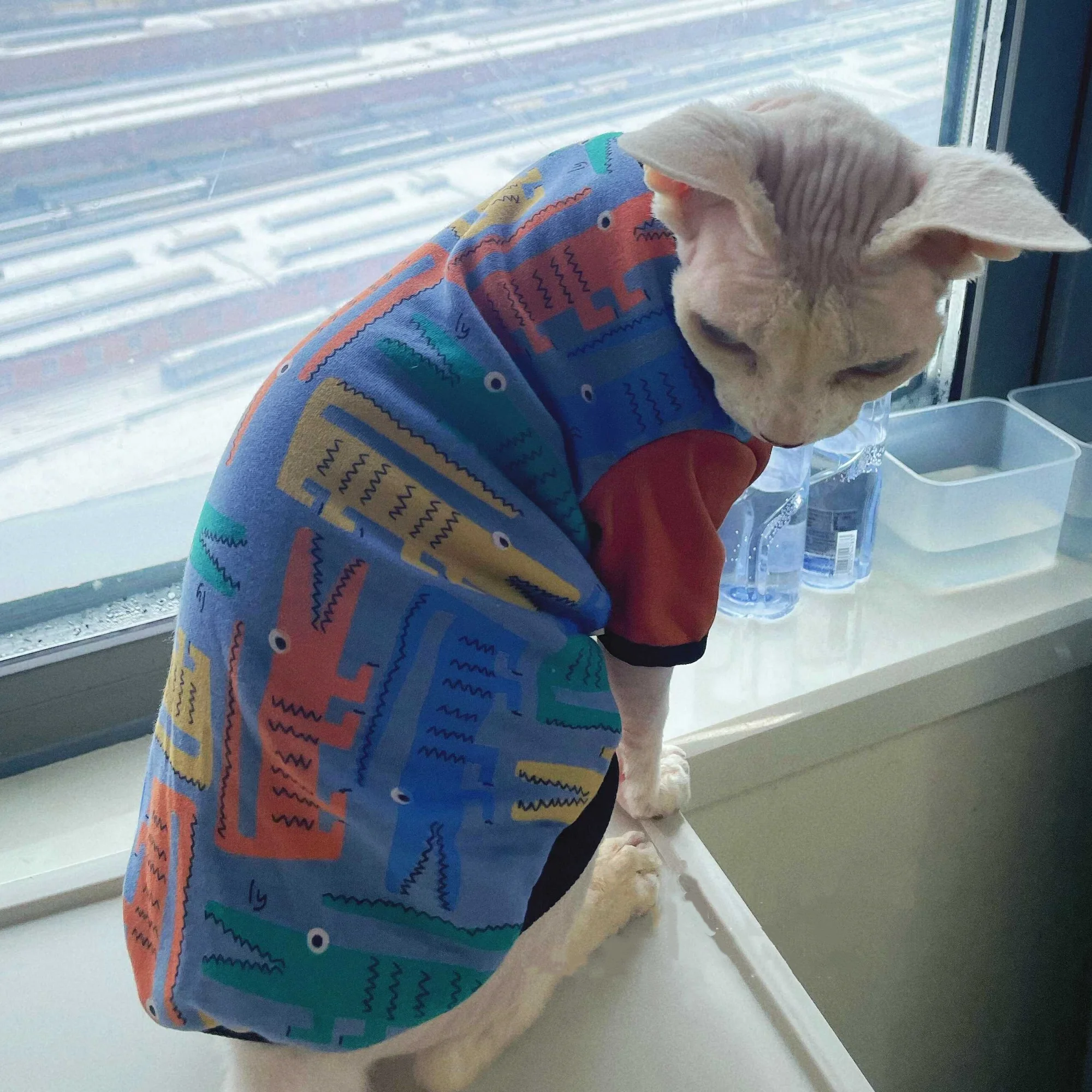 Long Sleeves Sweatshirt for Sphynx Cat Soft Red Blue Cartoon Coat for Kittens in Spring Autumn Cotton T-shirt for Devon Rex
