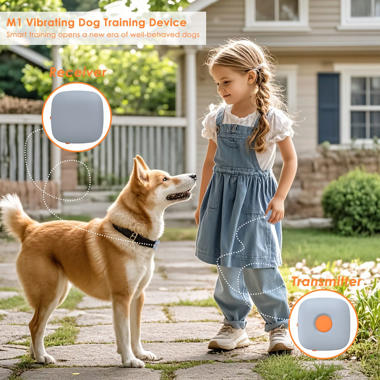 

Portable Dog Training Collar with Vibration Remote Control Simple Gentle Effective Pet Trainer