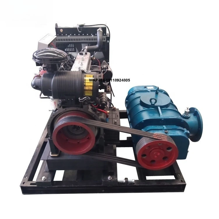 Shangu Roots Blower Vacuum Pump High Pressure air Blower Fish Shrimp Farming with Engine