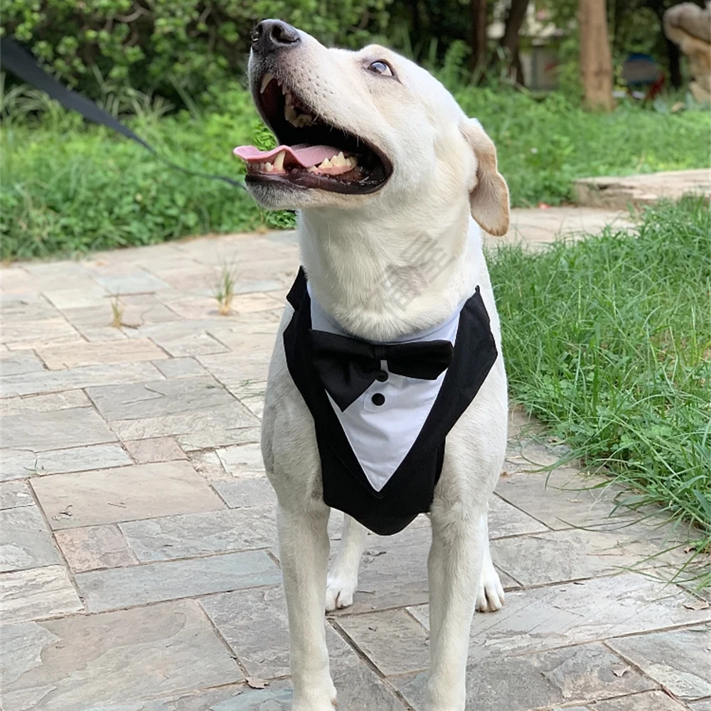 Hochzeits-Hundegeschirr im Smoking-Stil mit Fliege, verstellbare, atmungsaktive Weste mit D-Ring, kein Ziehen, für kleine und mittelgroße Hunde – Detail 18