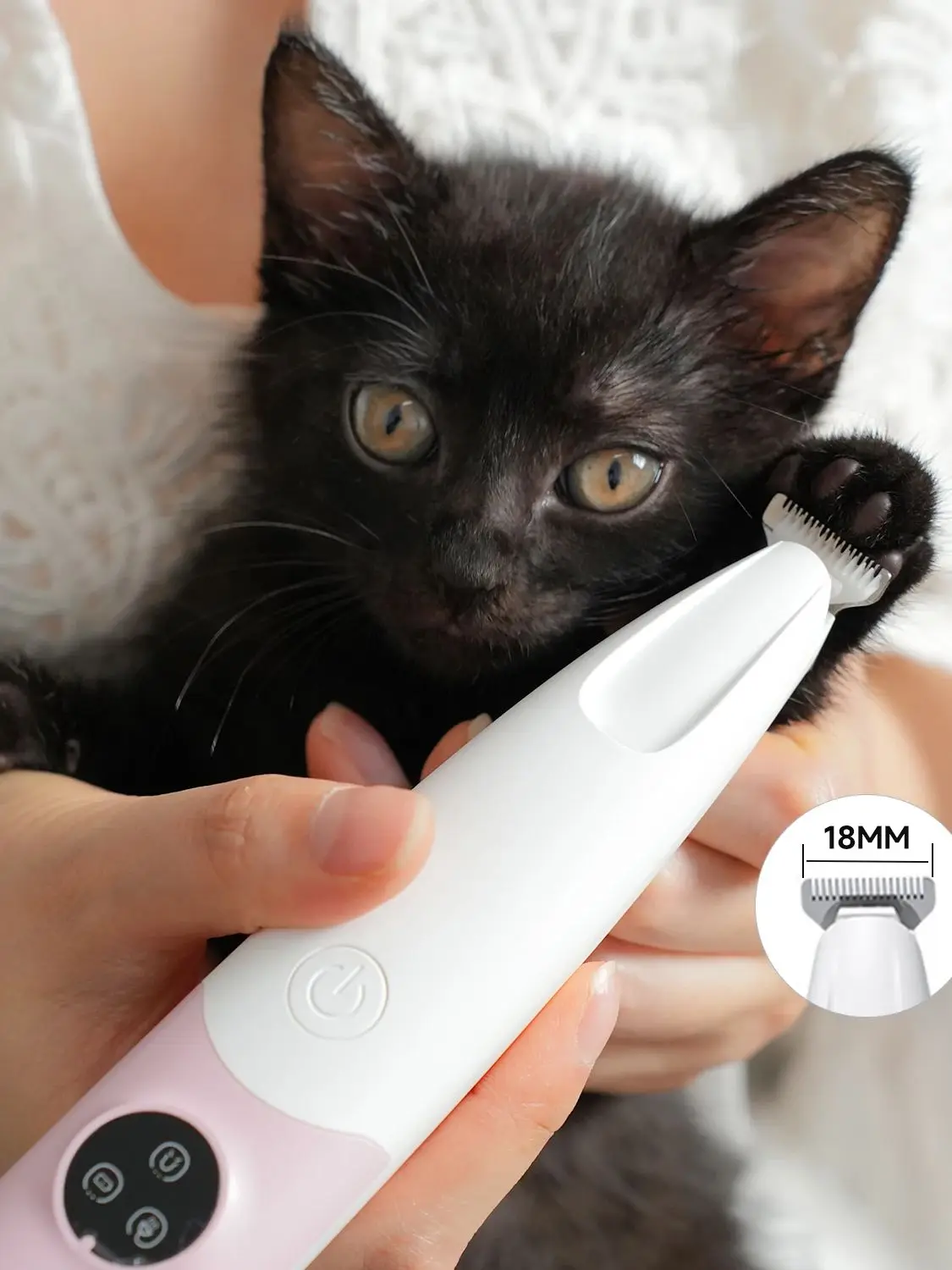 Ensemble tondeuse pour animaux de compagnie, tondeuse pour chiens et chats à faible bruit, sans fil, LED et étanche