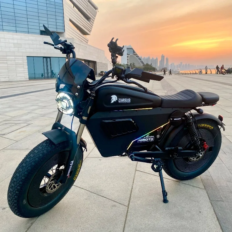 

3000W Electric Mountain Bike 1500W Motor with Off-Road Fat Tire Ebike 30AH 60AH Removable Lithium Battery