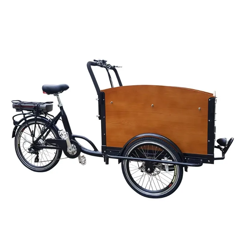 Factory Direct Sales Electric Tricycle with Customized Features 48V Lithium Battery Power Freight Shipped From China
