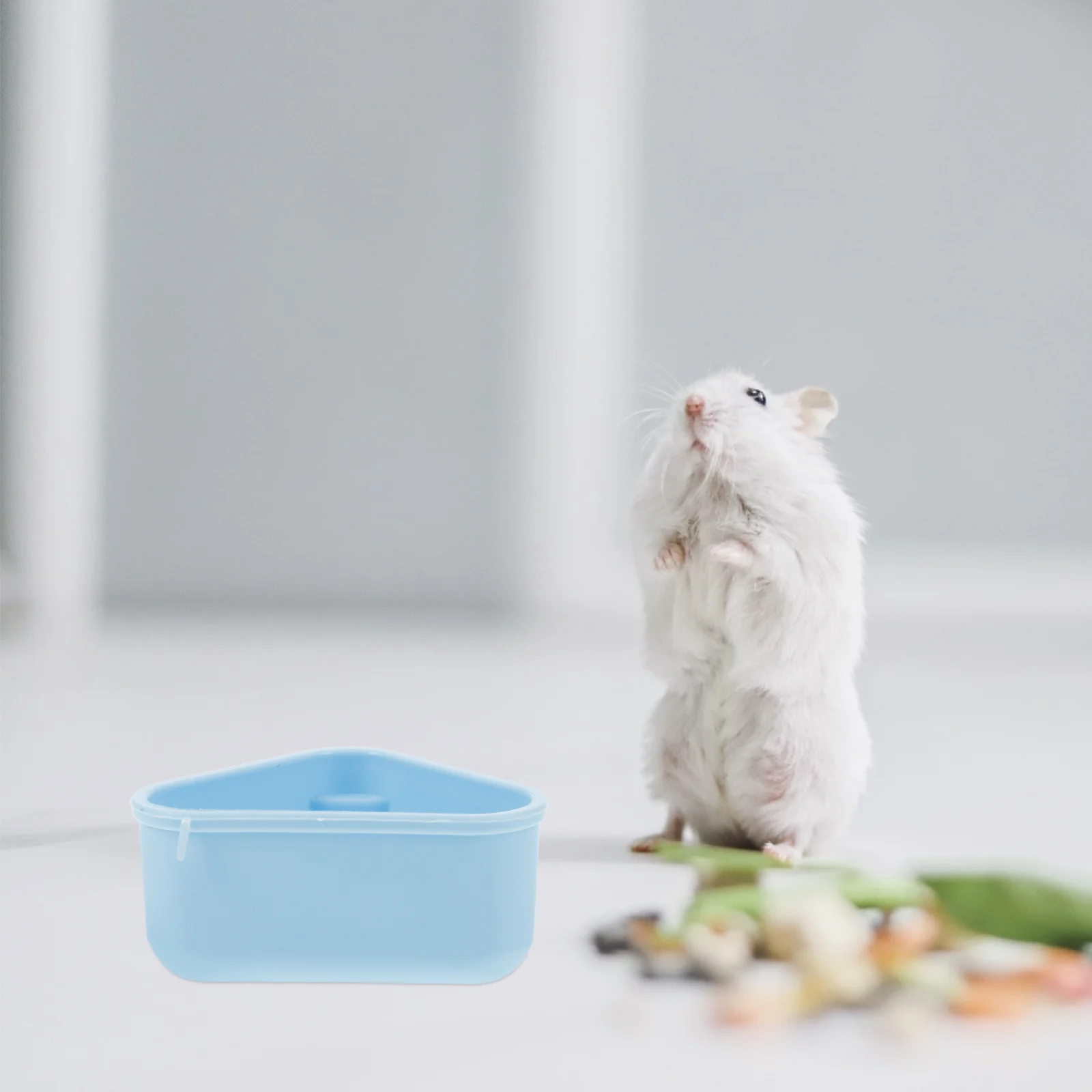 

1Set Hamster Cage Accessories Small Pet Water Bottle Running Wheel Food Bowl Exercise Tool for Gerbils Mice Small Animals