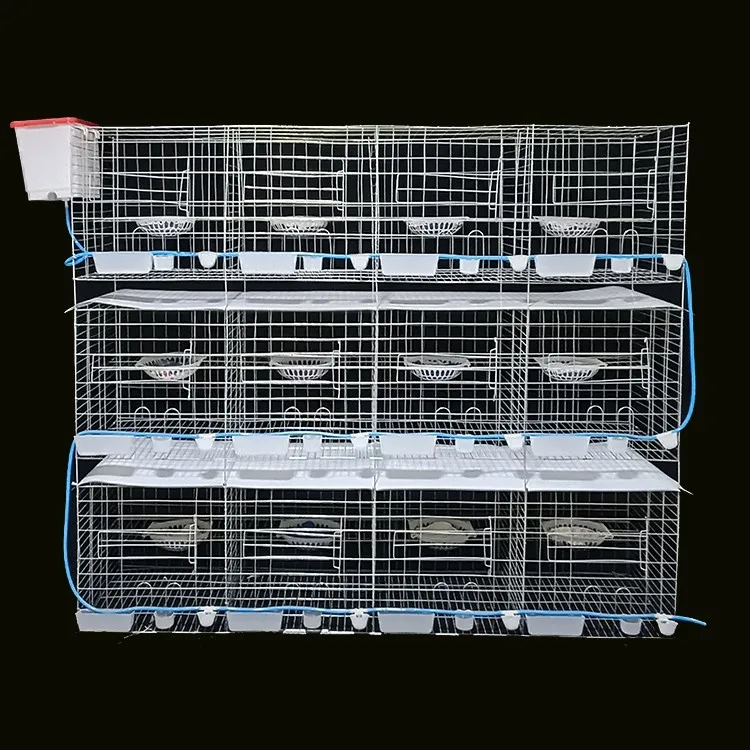

Customized pigeon cage extra large breeding domestic pigeon shed 12 carrier pigeons breeding 16 pigeons pairing cage