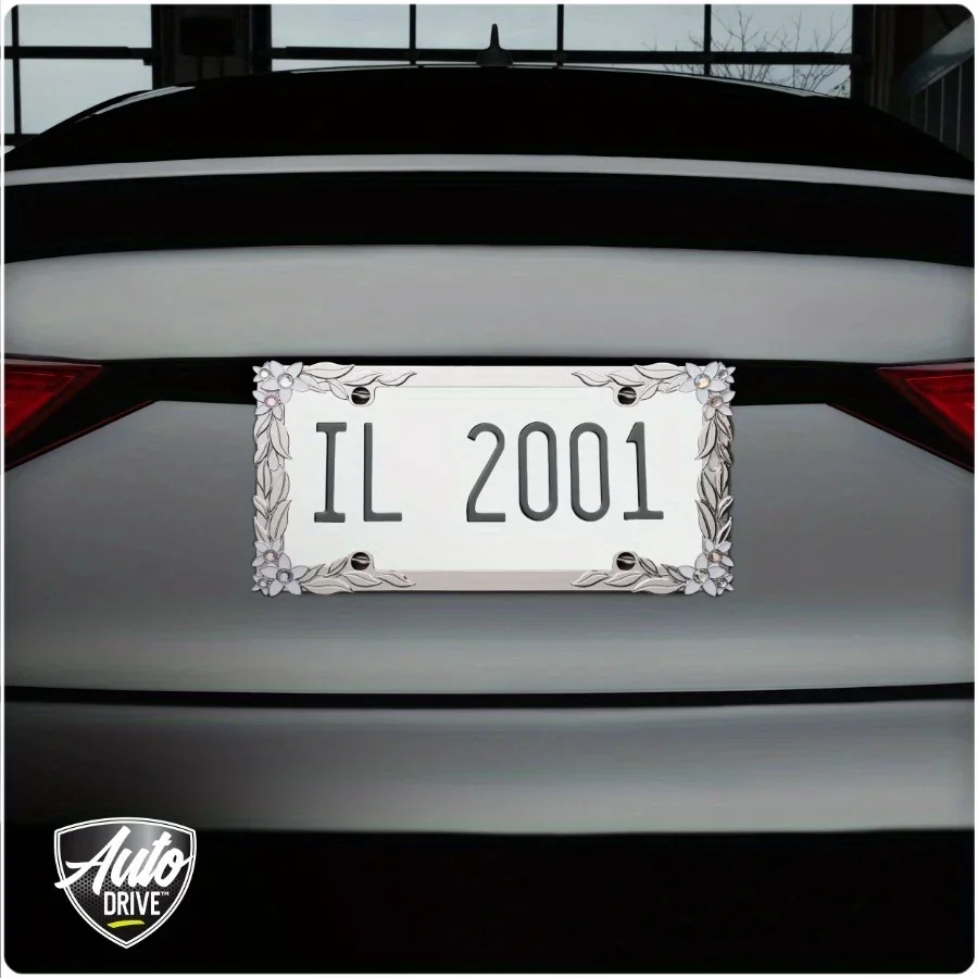 ترخيص معدني فضي، إطار لوحة بتصميم ديزي ثلاثي الأبعاد على الإطار، سهل التركيب، متين