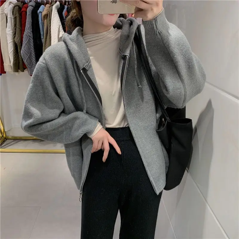 Hooded Hoodie Jacket for Women Lazy Style Age Reducing Korean Version Loose Fit Slimming Effect Blue Zipper Cardigan for Women