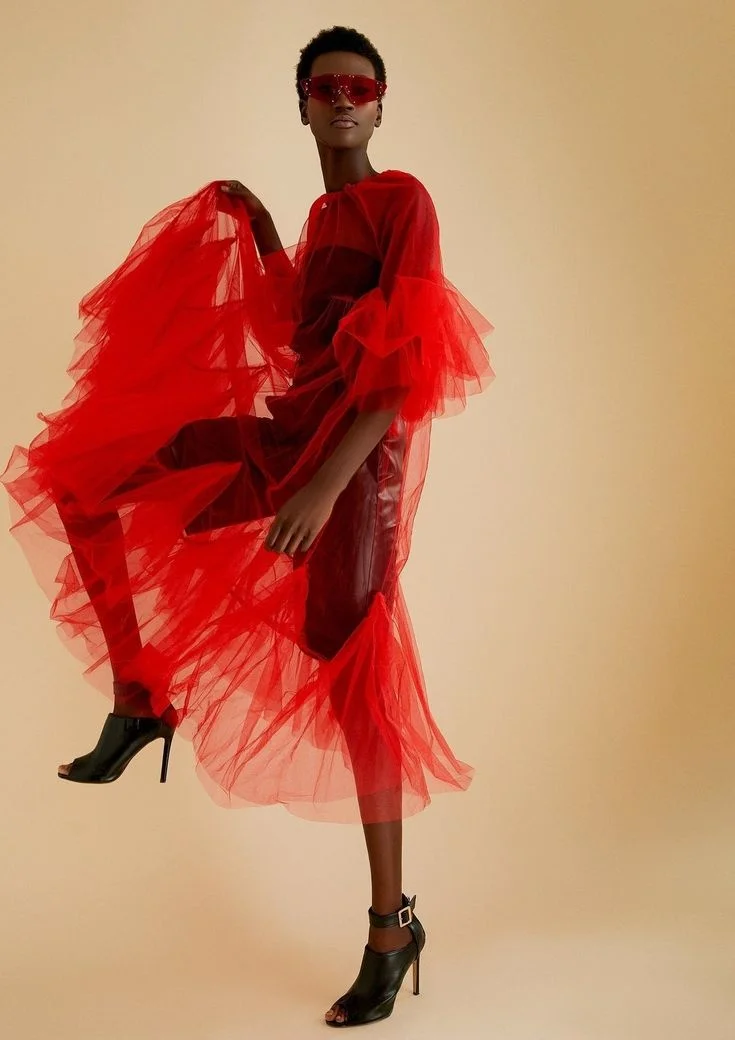 Sheer Tulle Dress Short Trumpet Sleeves Ruffled Mesh Tea Length Overlay Dress Women See Thru Party Dresses  Custom Color Size