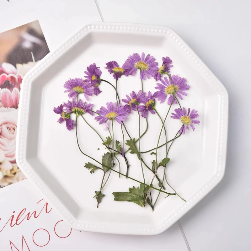 12pcs,Purple Stemmed Iris Dried Pressed Flowers-INS Plant Decor Supplies for Living Room Photo Frame,Resin Coaster DIY Materials