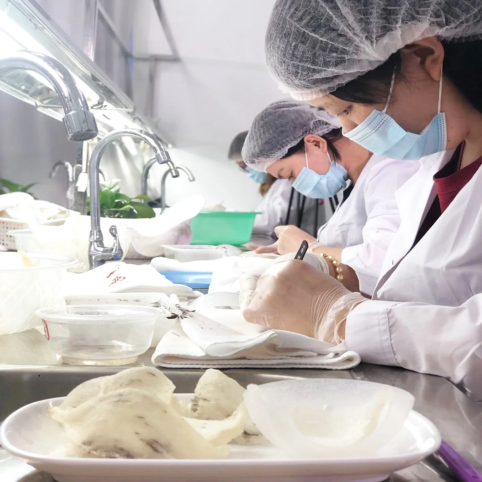 

6Pcs Premium PP Cubilose Molds Honeycomb Durable Practical Home Restaurant Hotel Use Cubilose Molds