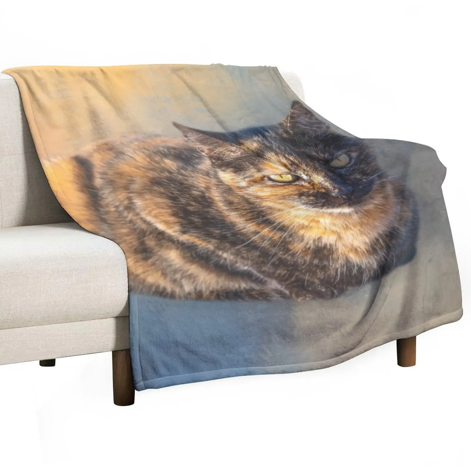 Tortie Cat 02 Throw Blanket Decorative Sofas Stuffeds Furry Blankets