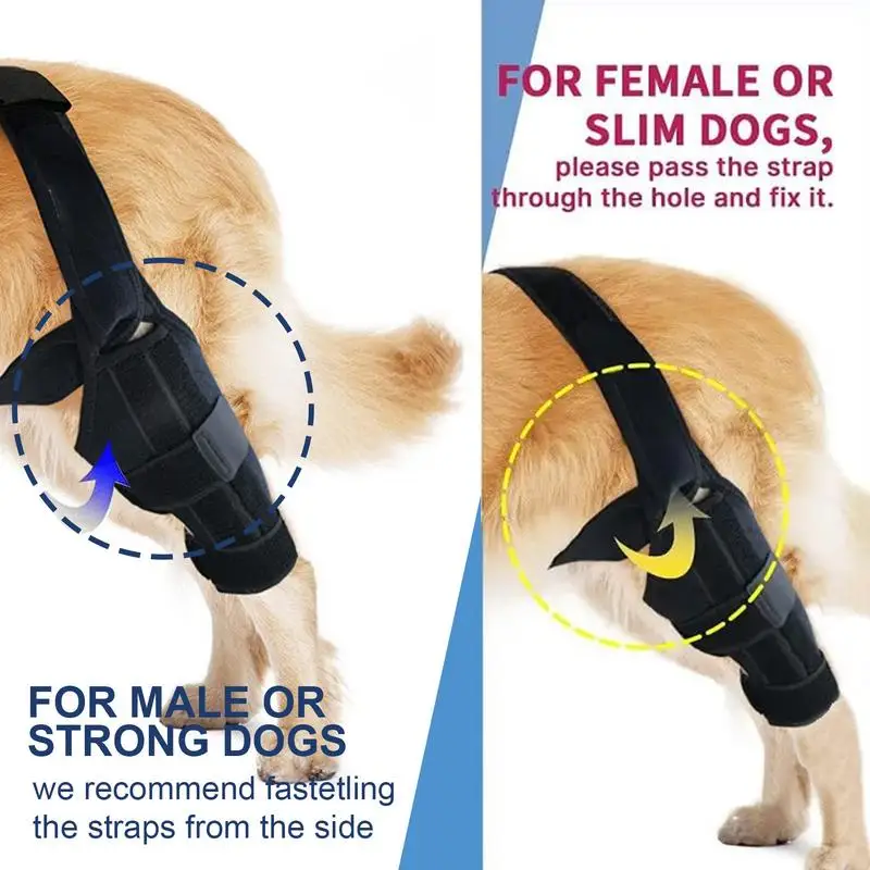 Dog Knee Support Brace Dog ACL Knee Support Brace Rear Leg Stabilizer For Small Dogs Neoprene Hip Brace With Adjustable Traction