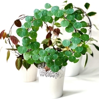 Iron Plant Stem Climbing Support Creative Heart Circle Shape Plant Stand Indoor Garden Accessories Flower Pots Vine Stand Holder
