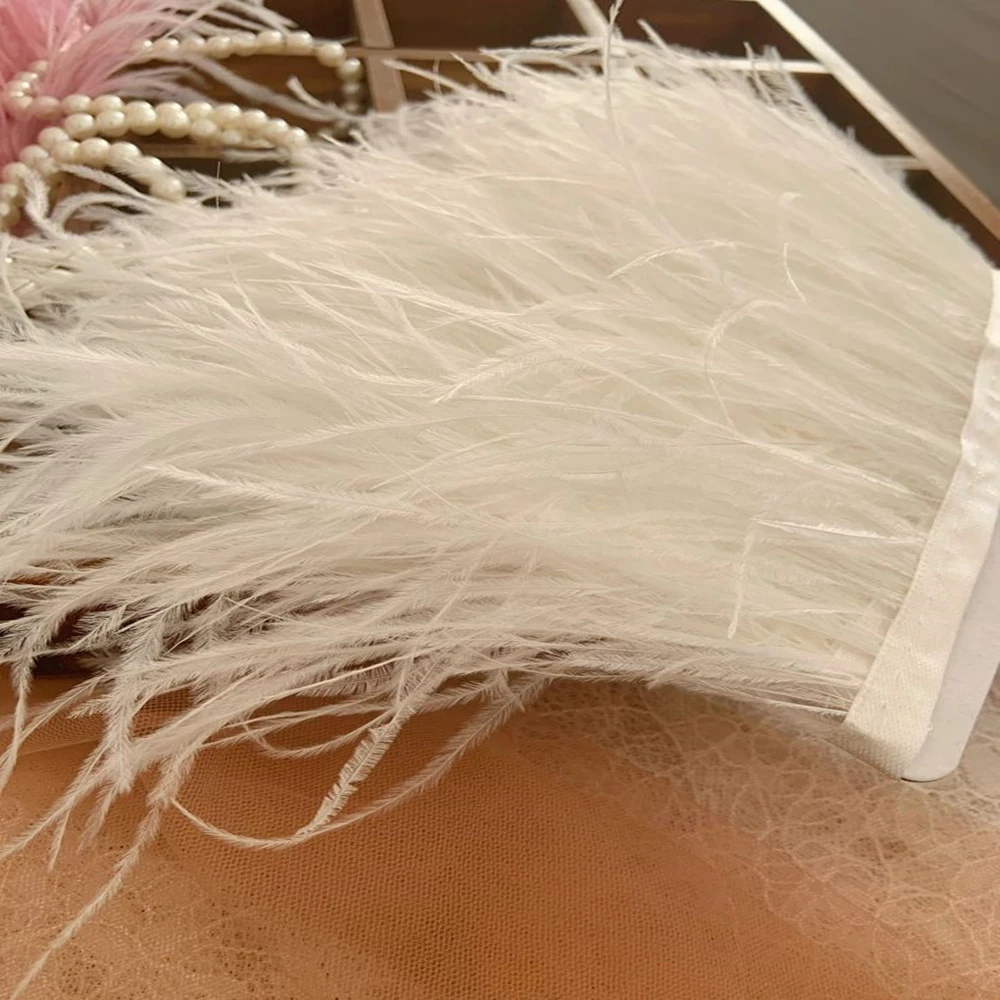 10-15CM Multicolor Ostrich Feathers Trim 2 5 10Meters Natural Plumes Selvage Tassel Ribbon For Wedding Dress Decoration Trimming