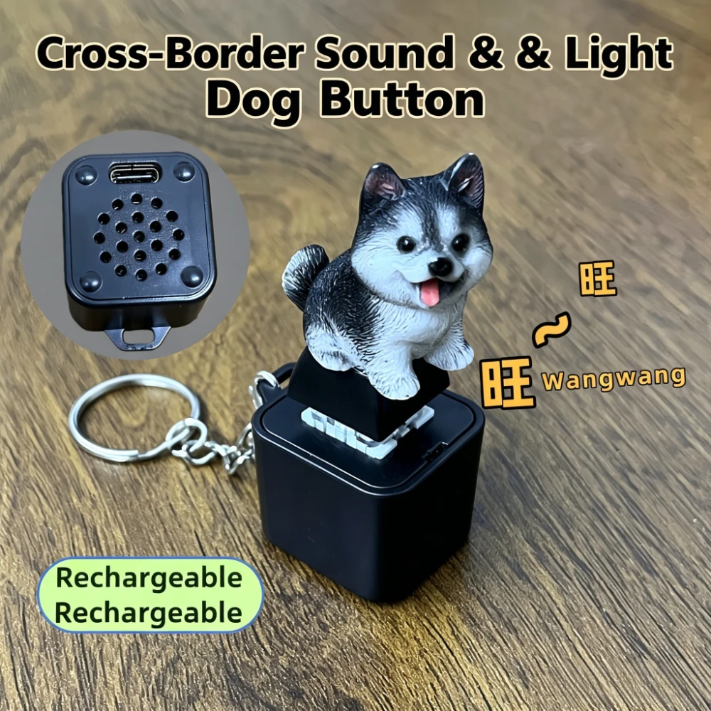 2026 LED Frog Croaking Fidget Toy Keychain With Colorful Lights Rechargeable Keychain With Led Fun Animal Sound Button Toy