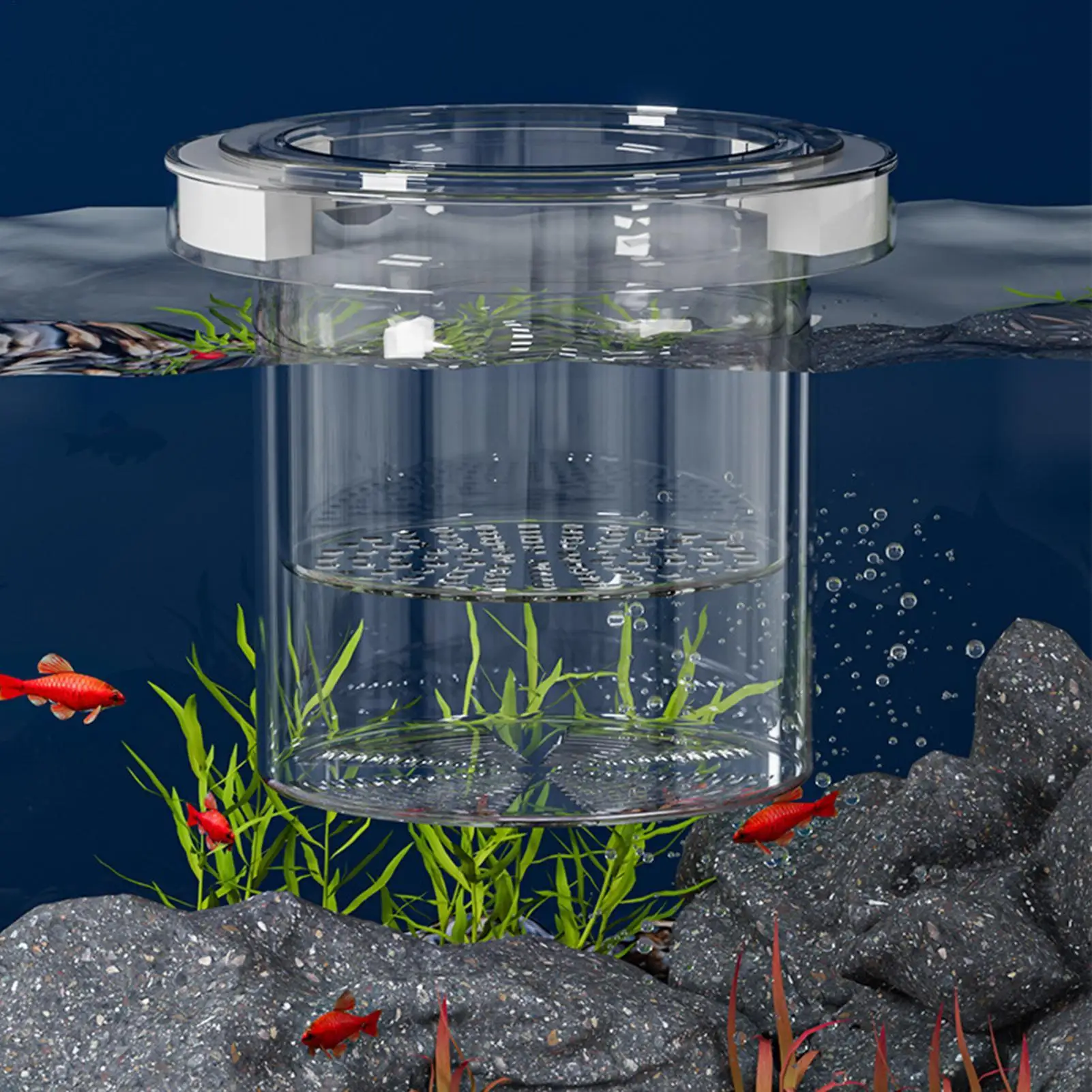 Fish Breeder Box Fish Breeder Box for Aquarium Nursery Feeding Container Hatchery Incubator Divider for Betta Egg Fry Guppy