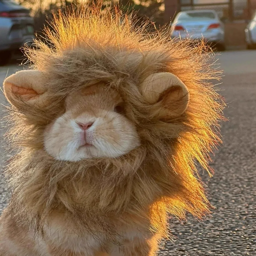 

Comfortable Fit Soft Lion Mane Wig Cap Hat Fluffy Breathable Dog Cat Wig Hat Funny Creative Pet Costume Cosplay