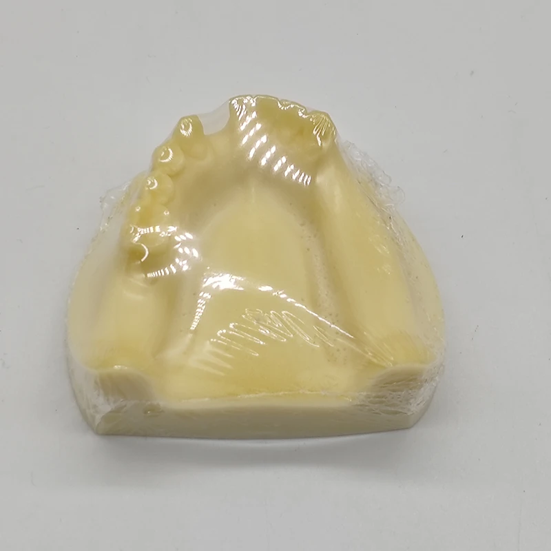 

Dental M2028 Mandibular bone Model Dental Training Teaching Pattern