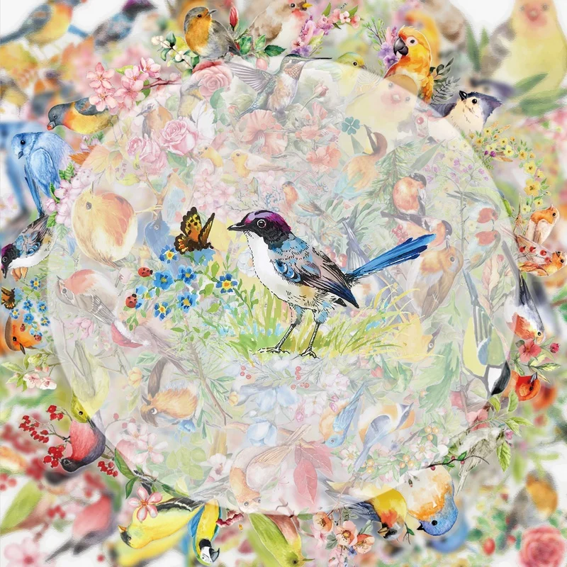50 Watercolor Bird Doodle Stickers, Vibrant Sticker Decals, Multiple Styles Without Duplication, Suitable for Water Bottles, Laptops, Suitcases, Skateboards, Guitars, Party Decorations