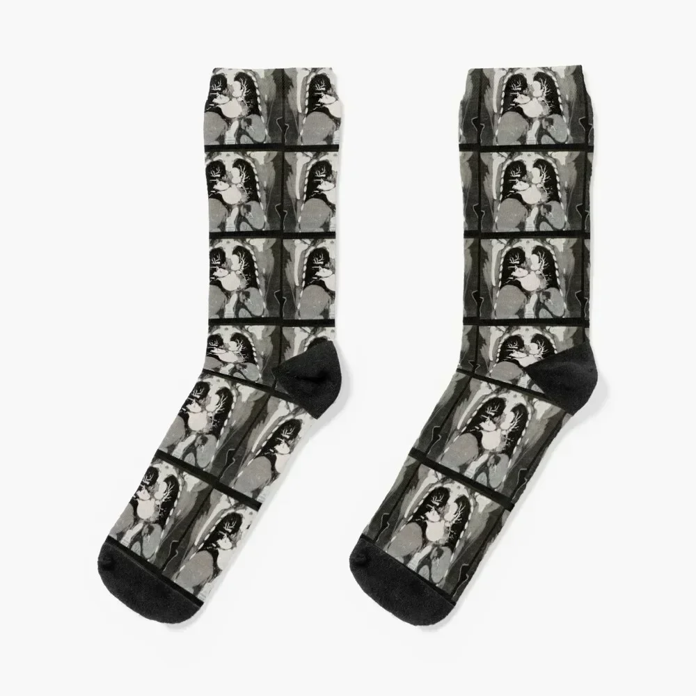 

Chest CT Scan with heart, lungs, pulmonary arteries, liver, spleen and ribs Socks japanese fashion Socks Men's Women's