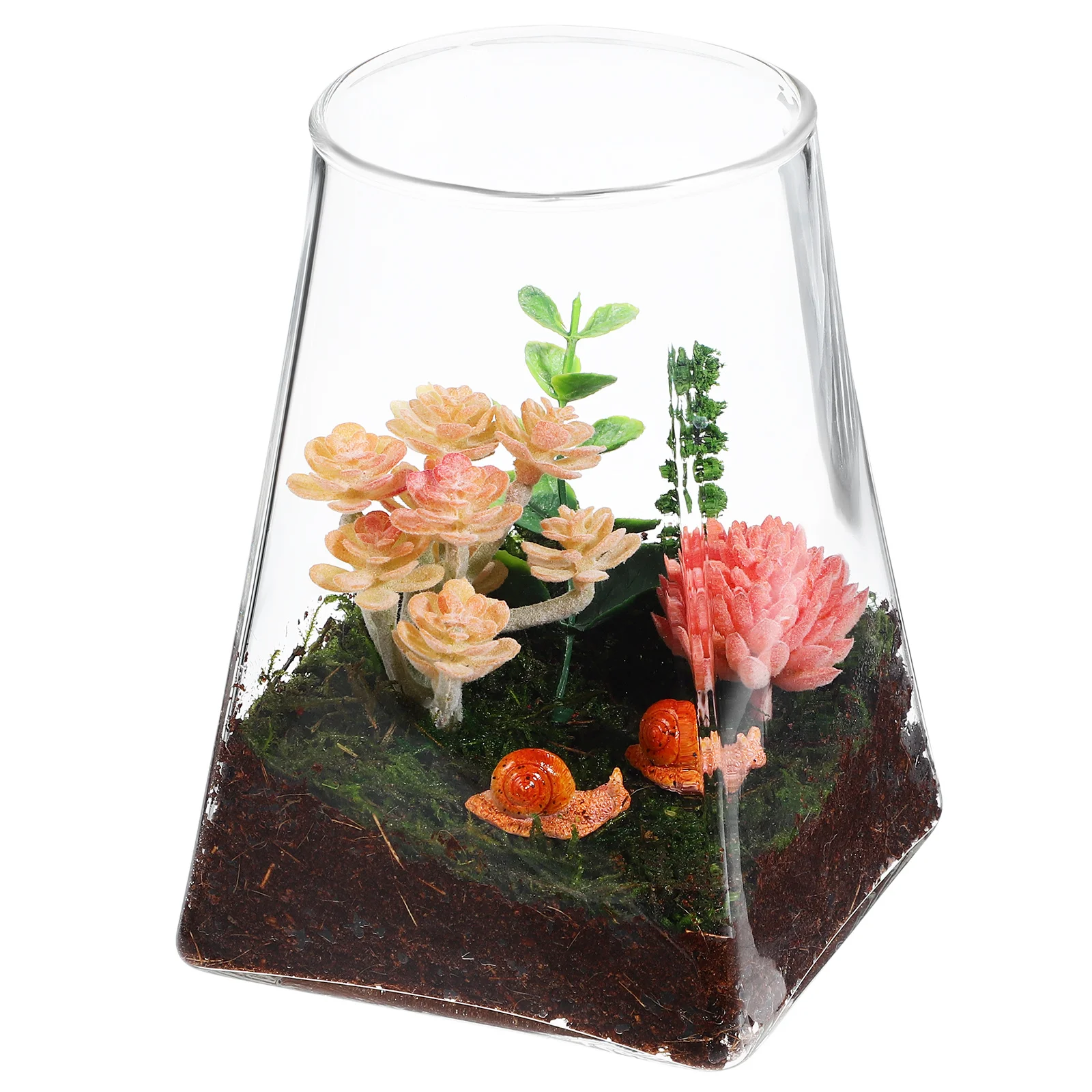 

Lidless Clear Glass Terrarium for Plants and Flowers Perfect As Desktop Coffee Table Windowsill Decoration Micro Landscape