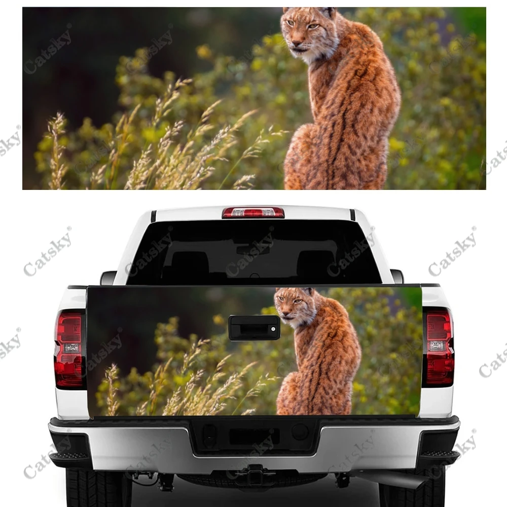 Animal Lynx Car sticker rear car rear appearance modification package suitable for car truck sticker