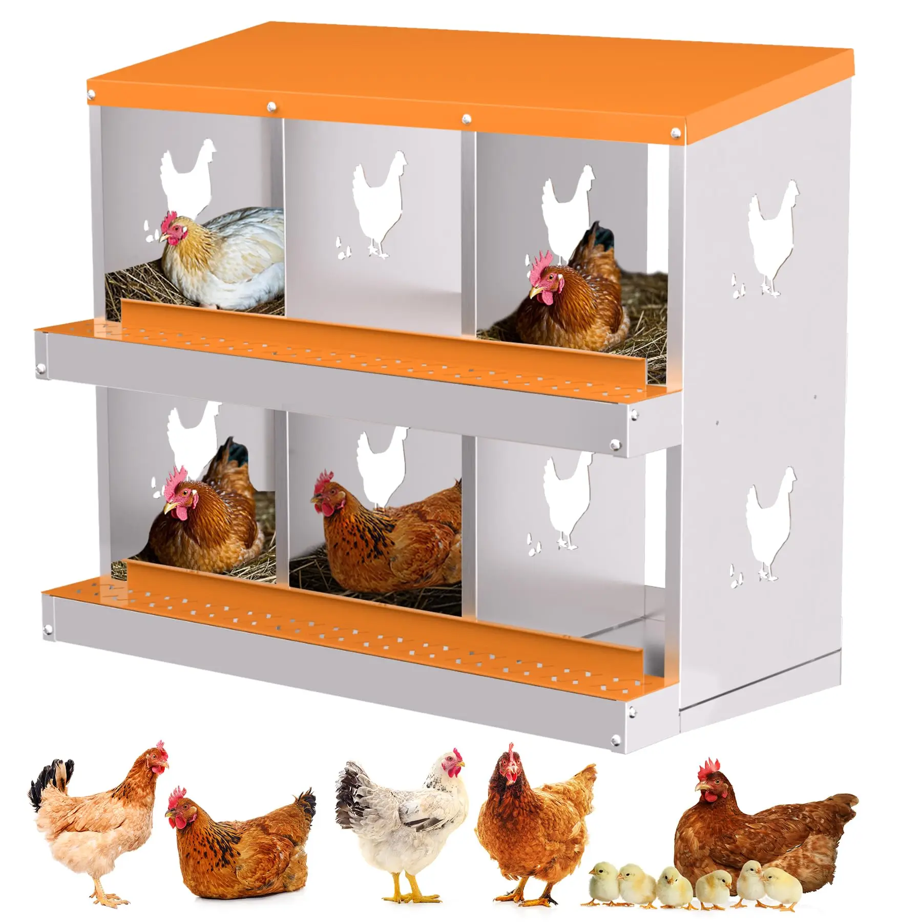 6-Compartment Chick… - image
