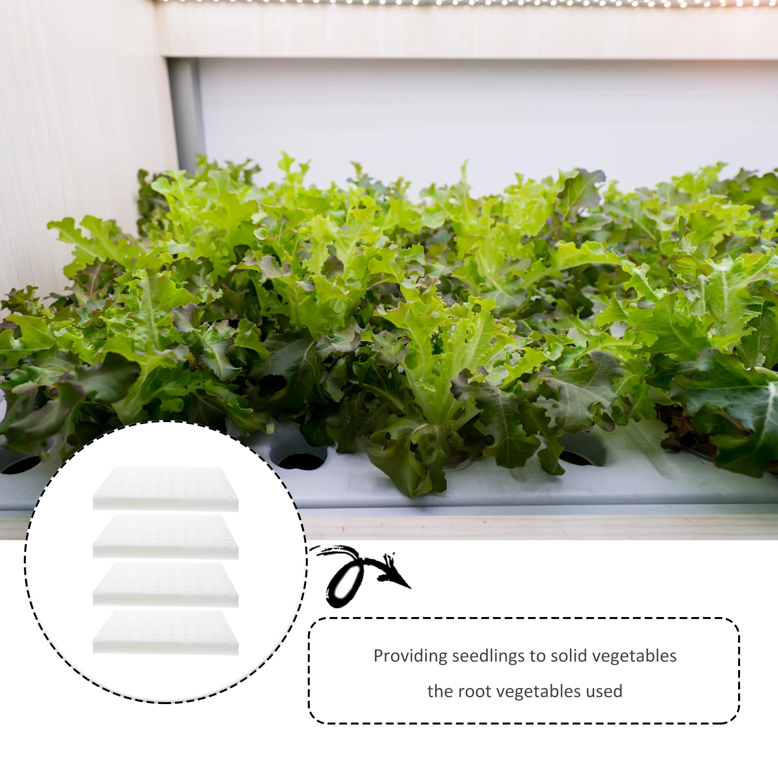 

4 Pcs Planted Cotton Hydroponic Grow Sponges Soilless Cultivation Planting Tool Sponge for Seedlings Vegetable Plants Gardening